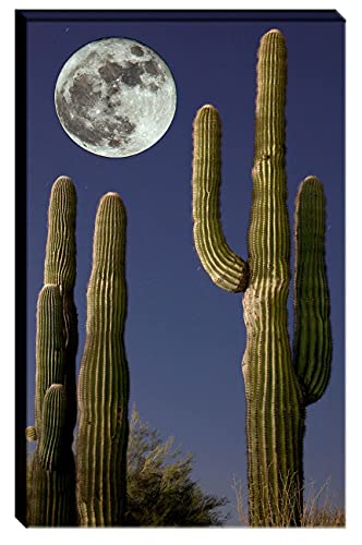 Стенен Арт Декор Платно Фотография Голям Пълна Луна над кактусом Saguaro в Нощен пейзаж на Пустинята. Готов да бъде обесен.
