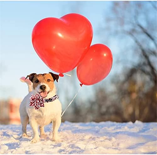 HFDGDFK Нашийник за кучета Valentine Red Heart с Флорални Регулируем Ошейником за домашни Любимци за Големи Средни Малки Кучета