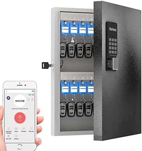 Органайзер за шкаф с 32 ключове, метална ключалка за ключове, монтиране на стена, отключване на технологии ОТП, фиксирана парола