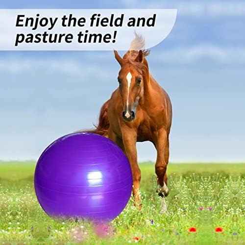 RideFound 40-Инчови Конни Игри Топки Със Защита От скъсване, Овчарски Топка за Коня, Мега един конете на Топката за игра, Тренировъчен