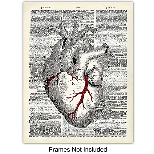 Анатомия на човека, Ретро Речник органи, Стенно изкуство - Набор от Картина в стил Изтъркан шик 8x10 за медицинска клиника, офис,