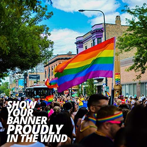 Дъгата Флаг Серия Anley EverStrong, Знаме на гей-парад, 3x5 Метра от ултра силна найлон за ЛГБТ Парад, Месец, Ден от Гордост ЛГБТК
