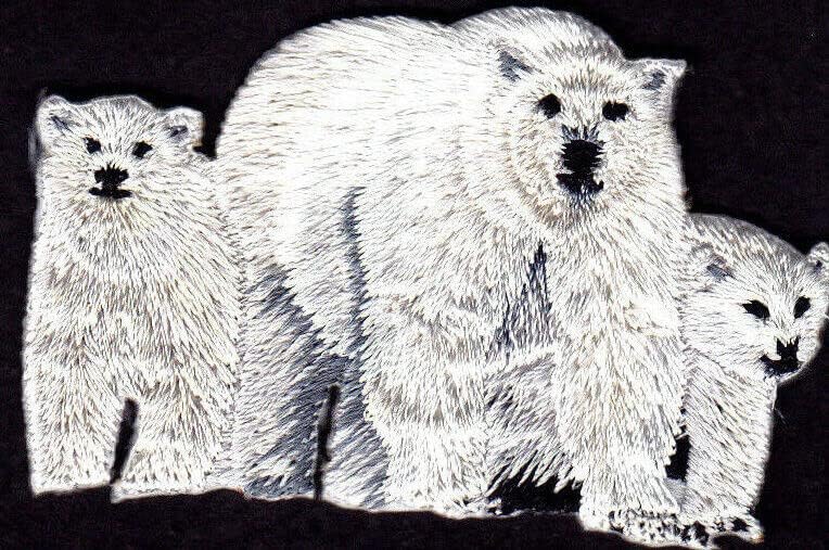 СЕМЕЙСТВО БЕЛИ МЕЧКИ Железни Ивици Животни Медвежата на Арктическия зоопарк